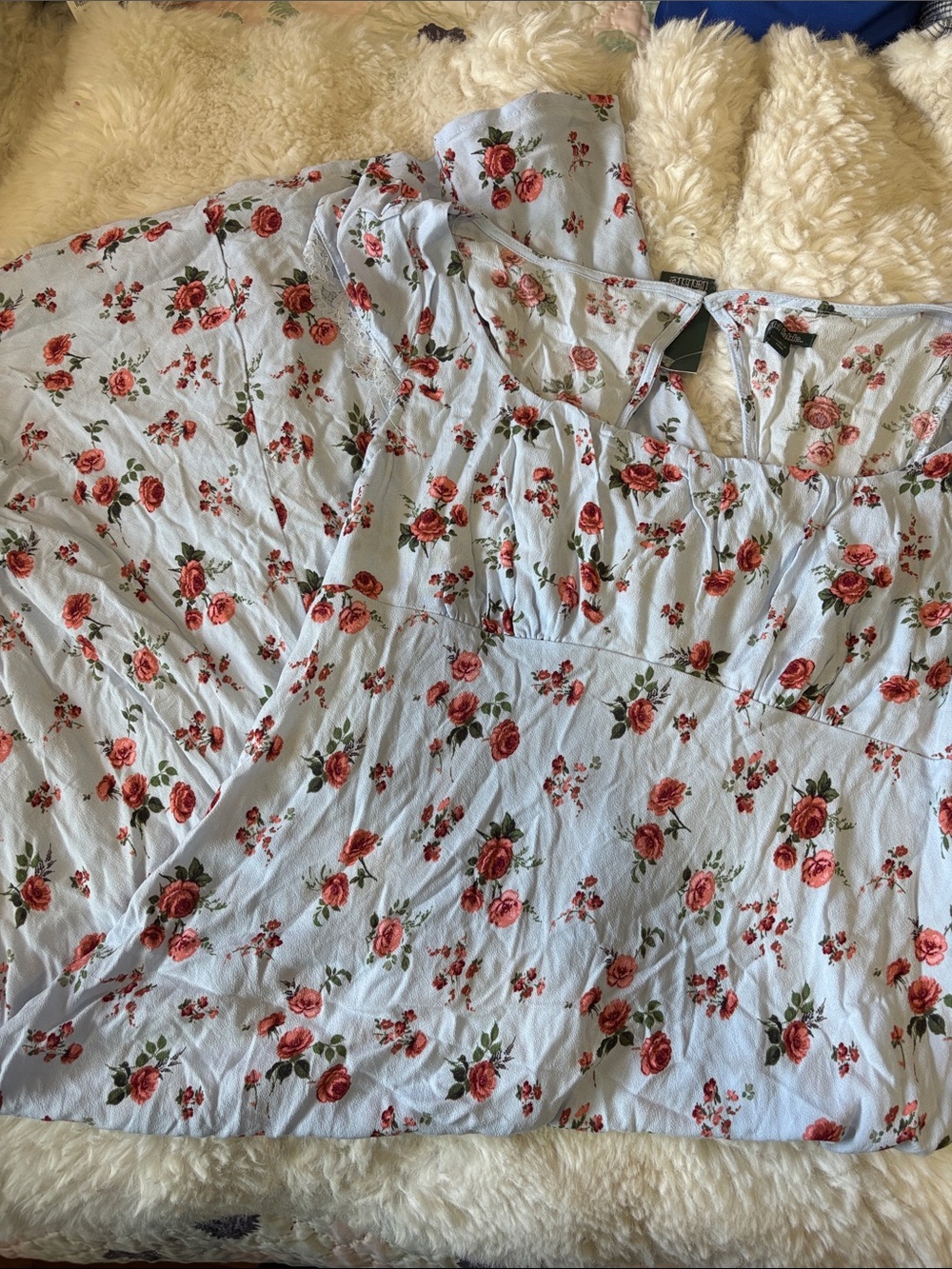 wild fable Light Blue Floral Midi Dress with Pink Roses